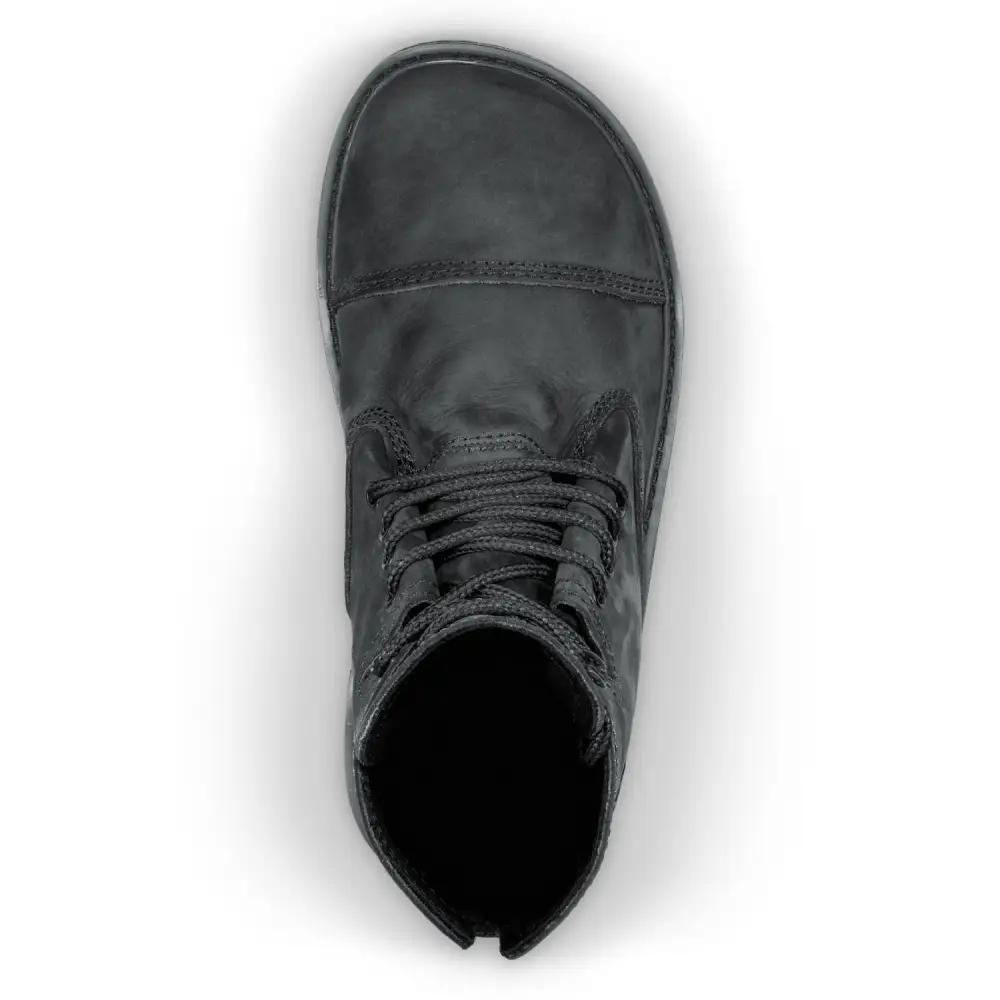 Bruin - Black Bear - Image 3